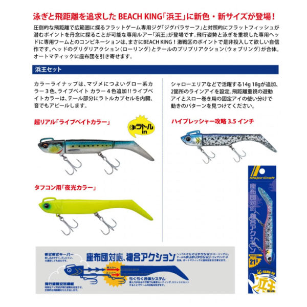 浜王セット 21g
