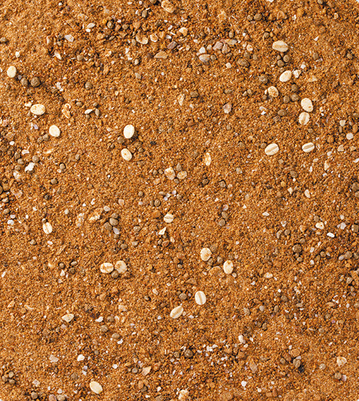 大チヌスペシャルハイパー