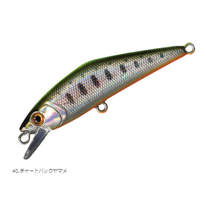 D-コンタクト50
