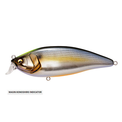 KONOSIRUS SHAD