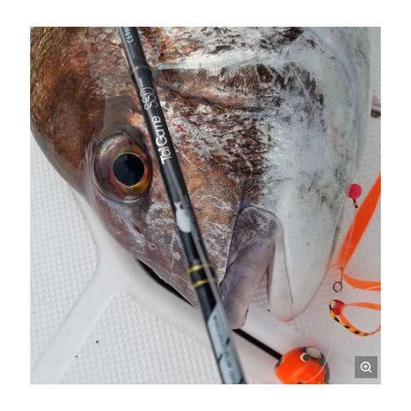 TAIGAME SSD タイゲーム S65L/FSL 大型便A – フィッシングマックス WEBSHOP