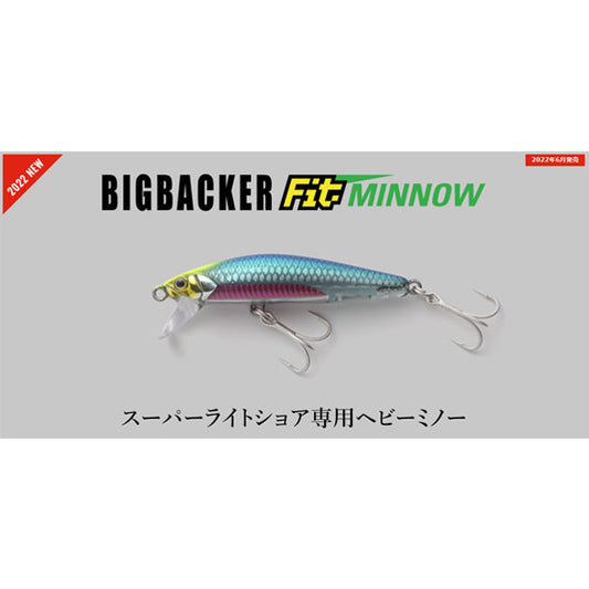 ビッグバッカー FIT MINNOW 70
