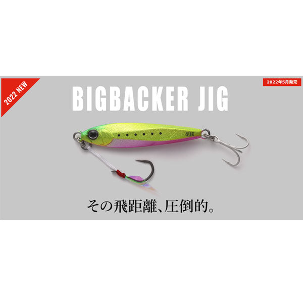 ビッグバッカージグ 40g