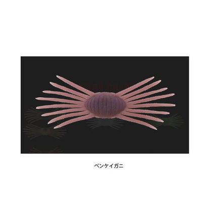 ドリフトクラブ ミニ