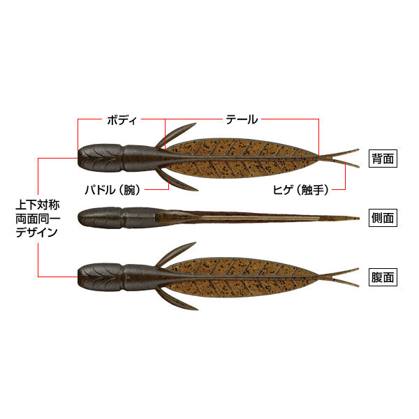 C-4リーチ 3.1