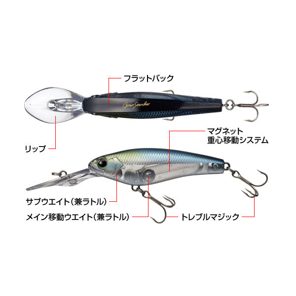 グランサーチャー