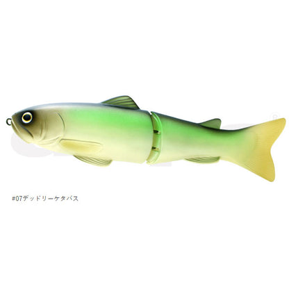 NEWスライドスイマー250SS