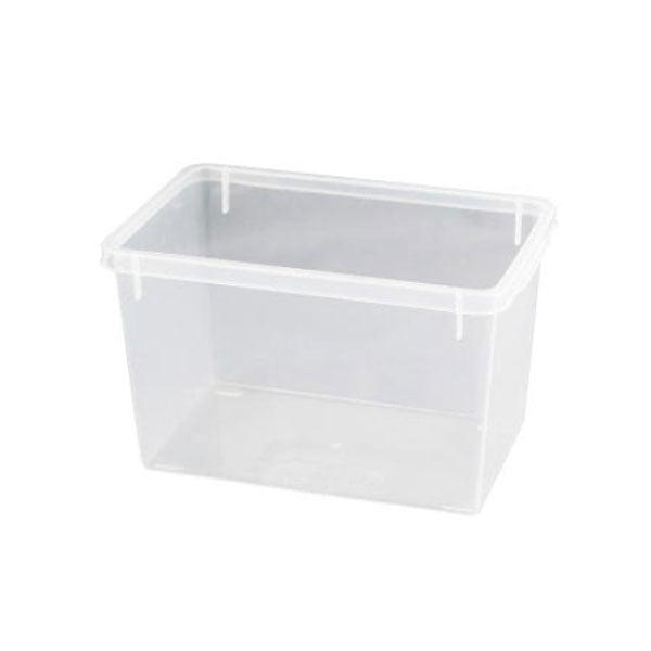 ワカサギ水槽 クリアー