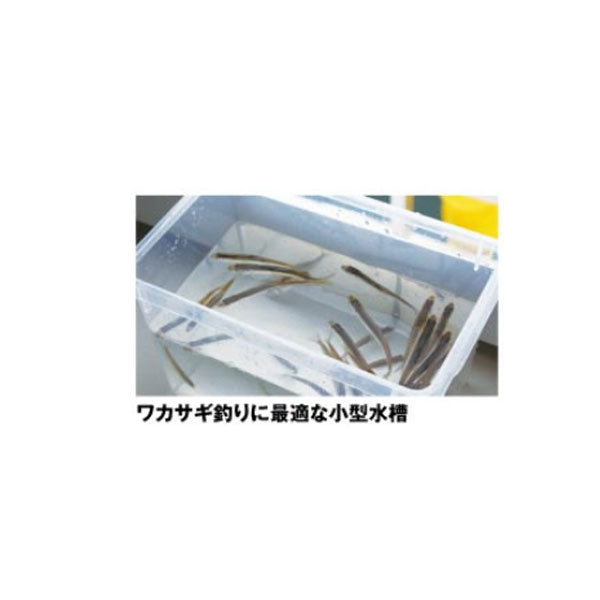 ワカサギ水槽 クリアー