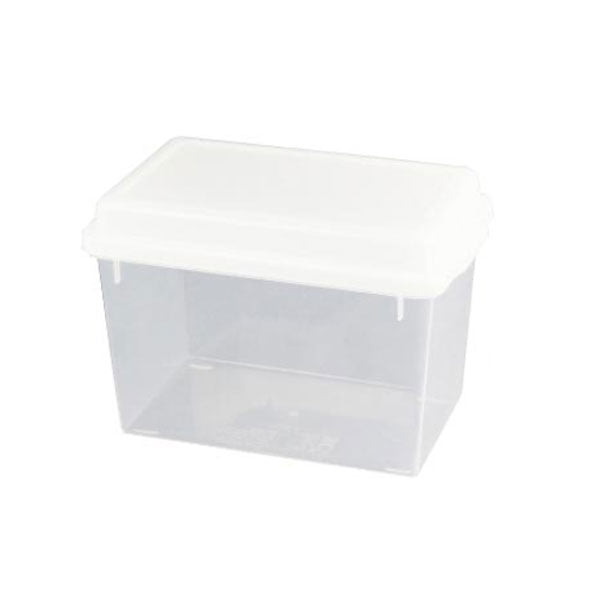 ワカサギ水槽 クリアー