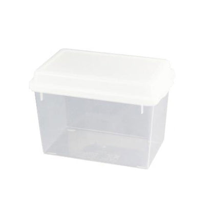 ワカサギ水槽 クリアー