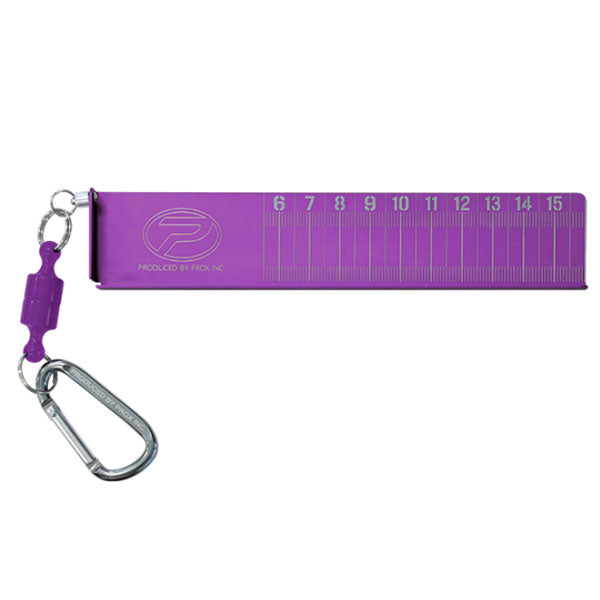 ワカサギスケール 16