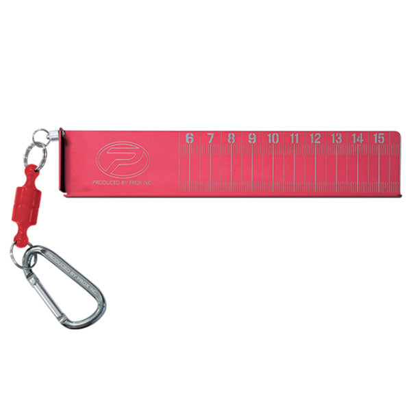 ワカサギスケール 16