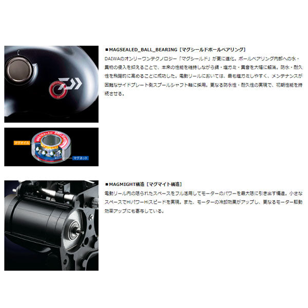22 シーボーグ