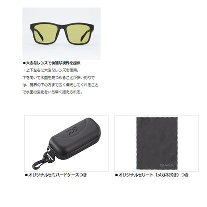 TLX 027 タレックスレンズサングラス
