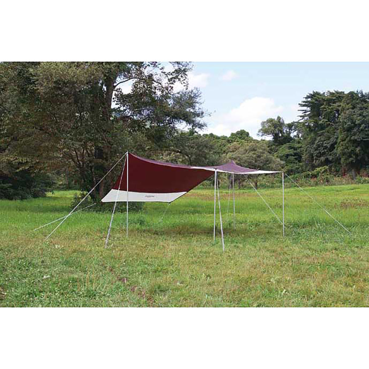 TARP