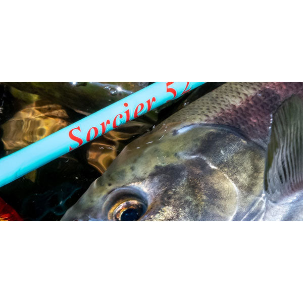 TULALA TRUITE ソルシエ 52UL 大型便 – フィッシングマックス TULALA TRUITE ソルシエ 52UL 大型便 – フィッシングマックス