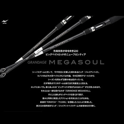 GRANDAGE MEGASOUL C62HH+ 大型便