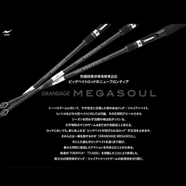 GRANDAGE MEGASOUL C63H+ 大型便
