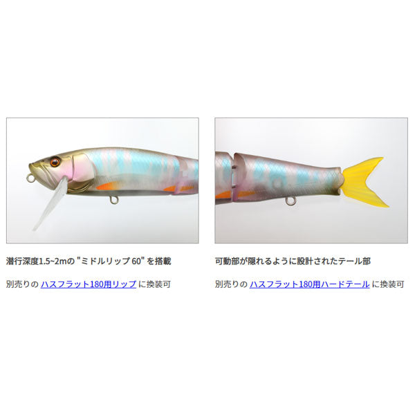 G.C.ハスフラット180F