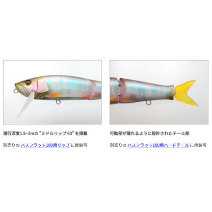 G.C.ハスフラット180F
