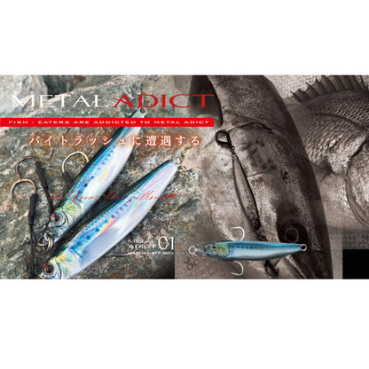 メタルアディクト タイプ01 30g