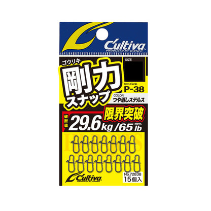 剛力スナップ