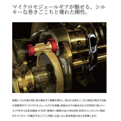 22 クラド DC