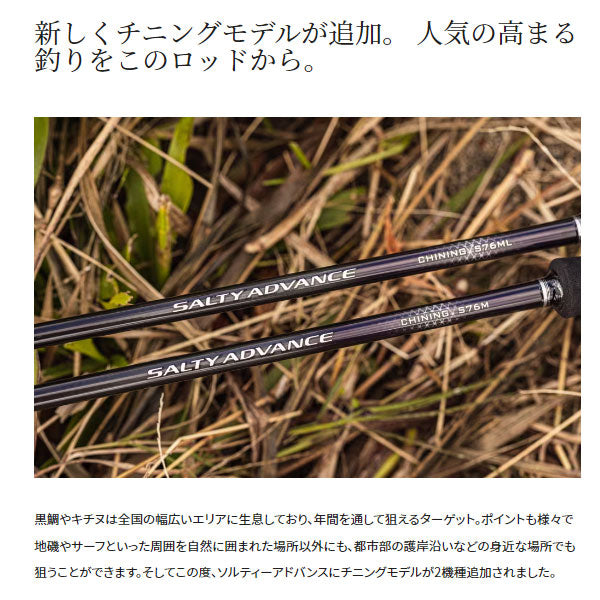 19 ソルティーアドバンス チニングS 2023年新製品