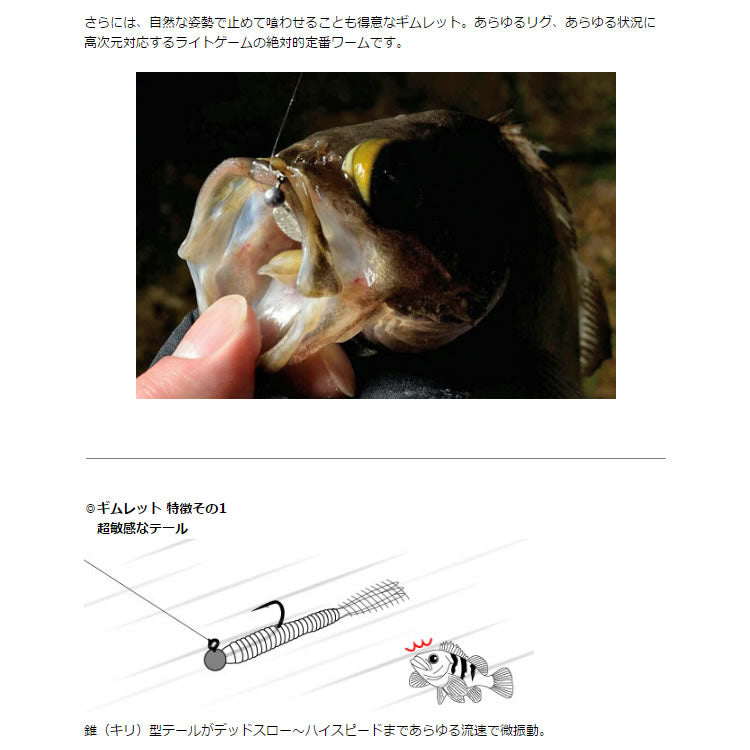 ギムレット 1.5インチ