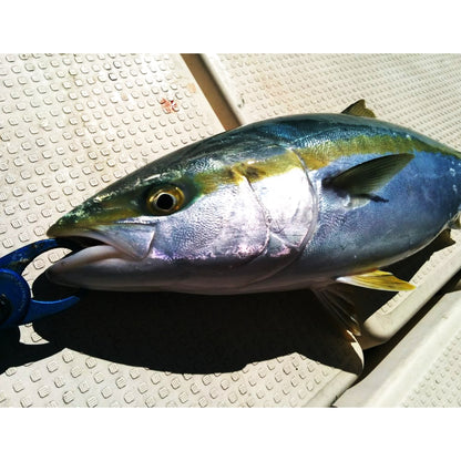 ブレードII 150g