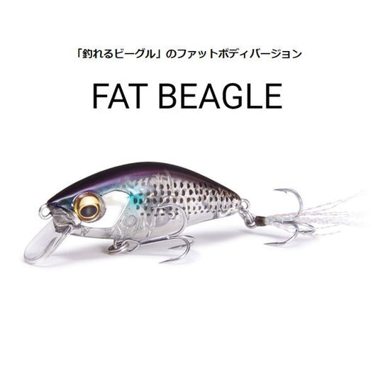 FAT BEAGLE (ファットビーグル)(SS)