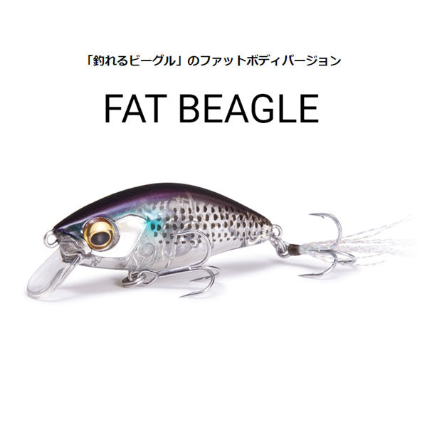 FAT BEAGLE(ファットビーグル) (SF)