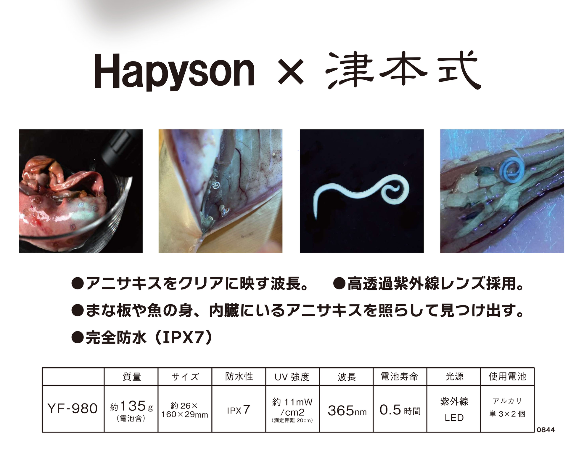 YF-980 アニサキスライト 津本式 – フィッシングマックス WEBSHOP